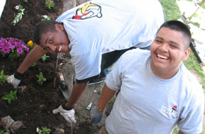 Boys planting a garden